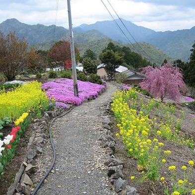 【世界遺産・小辺路登山プラン】熊野参詣道をゆく！翌日のお弁当付き♪